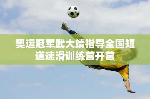 通过引进高