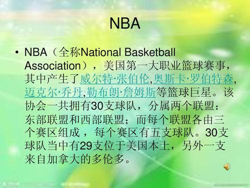 佐科维治的